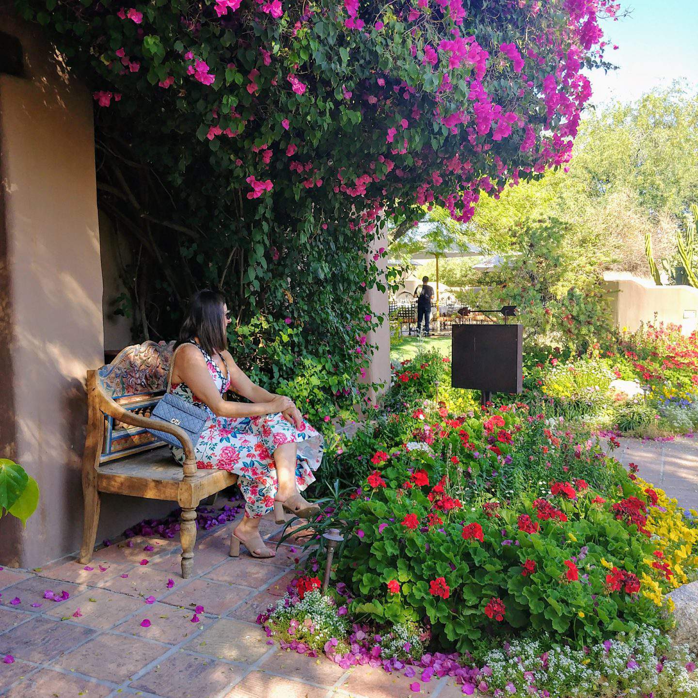woman in floral outfit with blue purse sitting on bench surrounded by Hermosa Inn pink flowers in scottsdale arizona