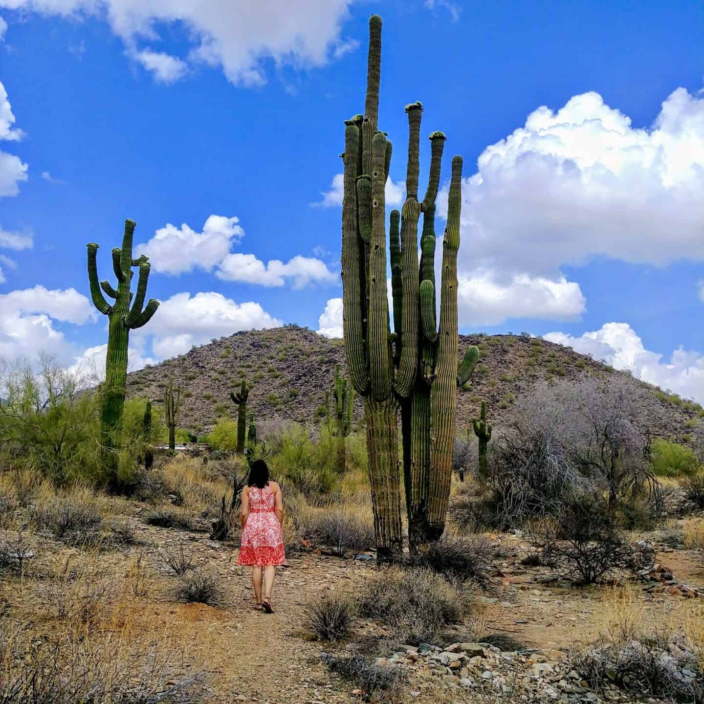 woman in orange dress standing in field of in scottsdale arizona