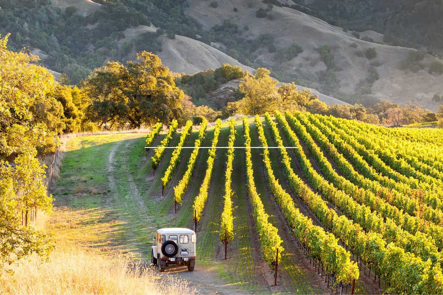 Discover the best places to visit in California &mdash; from San Diego and Yosemite to Big Sur, Lake Tahoe, and Sonoma. Find top California vacation spots, hidden gems, and the best time to visit the Golden State.