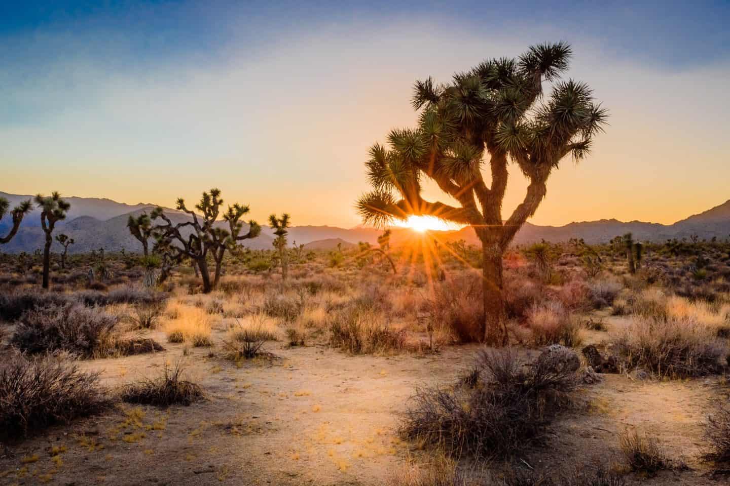 Discover the best places to visit in California &mdash; from San Diego and Yosemite to Big Sur, Lake Tahoe, and Sonoma. Find top California vacation spots, hidden gems, and the best time to visit the Golden State.