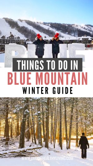 Discover the ultimate Blue Mountain winter getaway! Ski the slopes, ice skate, enjoy the Scandinave Spa Blue Mountain, and explore Blue Mountain Village. Book top Blue Mountain hotels and experience magical Holiday Magic lights.
#BlueMountain #BlueMountainOntario #WinterGetaway #BlueMountainHotels #BlueMountainSpa #HolidayMagic #WinterActivities #ThingsToDoInBlueMountain #BlueMountainVillage #OntarioWinter