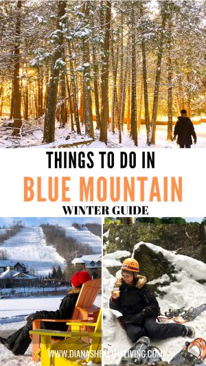 Discover the ultimate Blue Mountain winter getaway! Ski the slopes, ice skate, enjoy the Scandinave Spa Blue Mountain, and explore Blue Mountain Village. Book top Blue Mountain hotels and experience magical Holiday Magic lights.
#BlueMountain #BlueMountainOntario #WinterGetaway #BlueMountainHotels #BlueMountainSpa #HolidayMagic #WinterActivities #ThingsToDoInBlueMountain #BlueMountainVillage #OntarioWinter