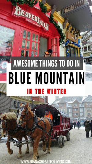Discover the ultimate Blue Mountain winter getaway! Ski the slopes, ice skate, enjoy the Scandinave Spa Blue Mountain, and explore Blue Mountain Village. Book top Blue Mountain hotels and experience magical Holiday Magic lights. #BlueMountain #BlueMountainOntario #WinterGetaway #BlueMountainHotels #BlueMountainSpa #HolidayMagic #WinterActivities #ThingsToDoInBlueMountain #BlueMountainVillage #OntarioWinter