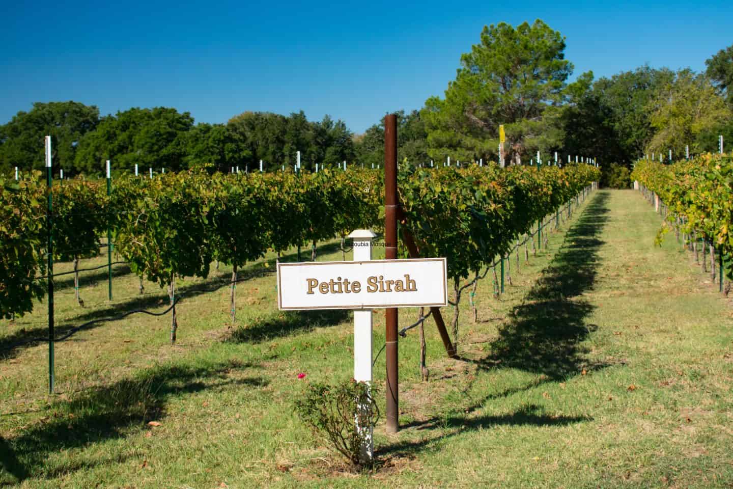 Fredericksburg san antonio texas
Plan your perfect trip with this list of must-see attractions in San Antonio &mdash; from The Alamo and Riverwalk to Natural Bridge Caverns and Market Square. Great ideas for families, couples, and first-time visitors!