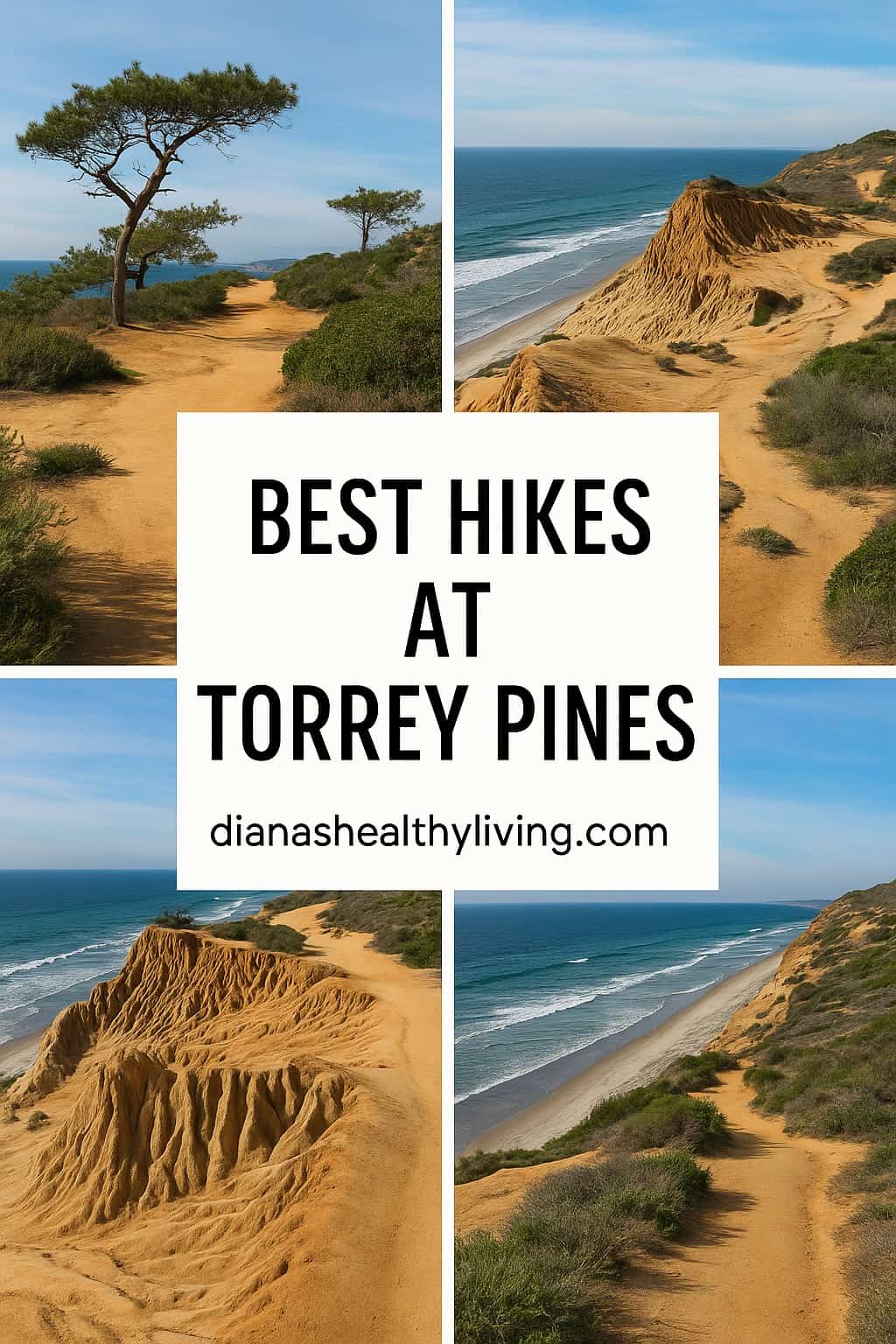 Explore the best Torrey Pines hikes in San Diego &mdash; from the Guy Fleming Trail to Beach Trail. Get tips, itinerary, and FAQs for hiking Torrey Pines State Reserve.