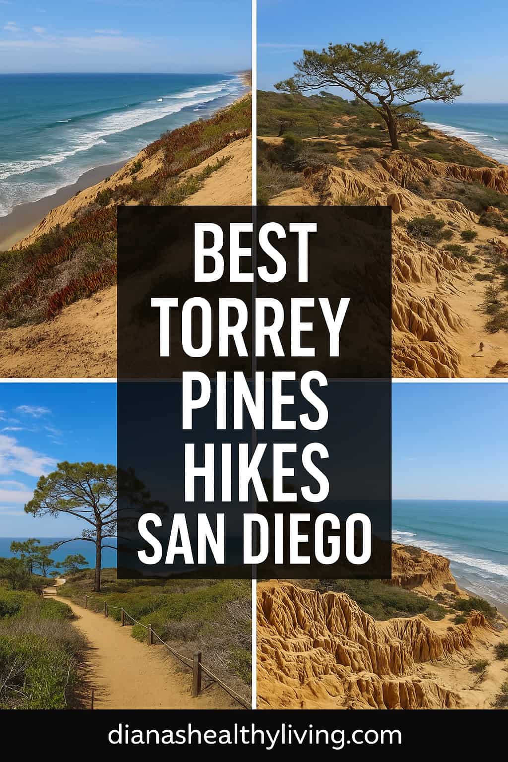 Explore the best Torrey Pines hikes in San Diego &mdash; from the Guy Fleming Trail to Beach Trail. Get tips, itinerary, and FAQs for hiking Torrey Pines State Reserve.