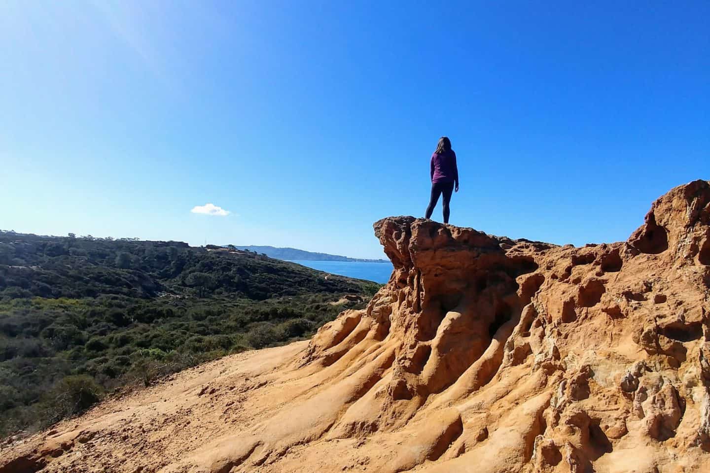 Explore the best Torrey Pines hikes in San Diego &mdash; from the Guy Fleming Trail to Beach Trail. Get tips, itinerary, and FAQs for hiking Torrey Pines State Reserve.