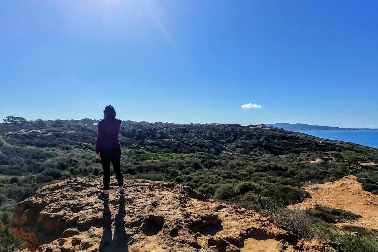 Explore the best Torrey Pines hikes in San Diego &mdash; from the Guy Fleming Trail to Beach Trail. Get tips, itinerary, and FAQs for hiking Torrey Pines State Reserve.