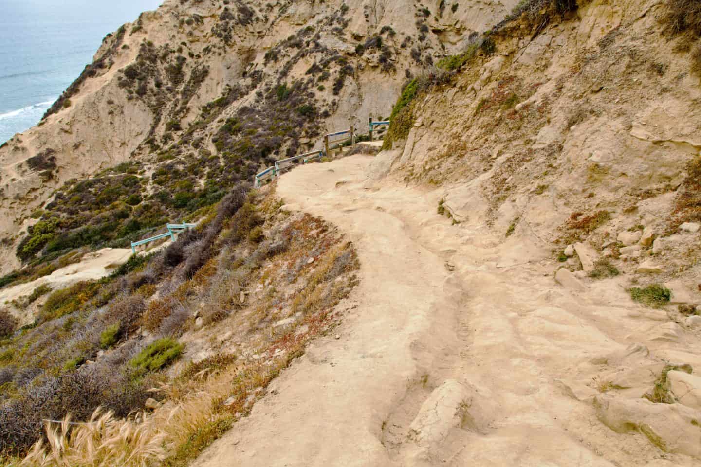 Explore the best Torrey Pines hikes in San Diego &mdash; from the Guy Fleming Trail to Beach Trail. Get tips, itinerary, and FAQs for hiking Torrey Pines State Reserve.