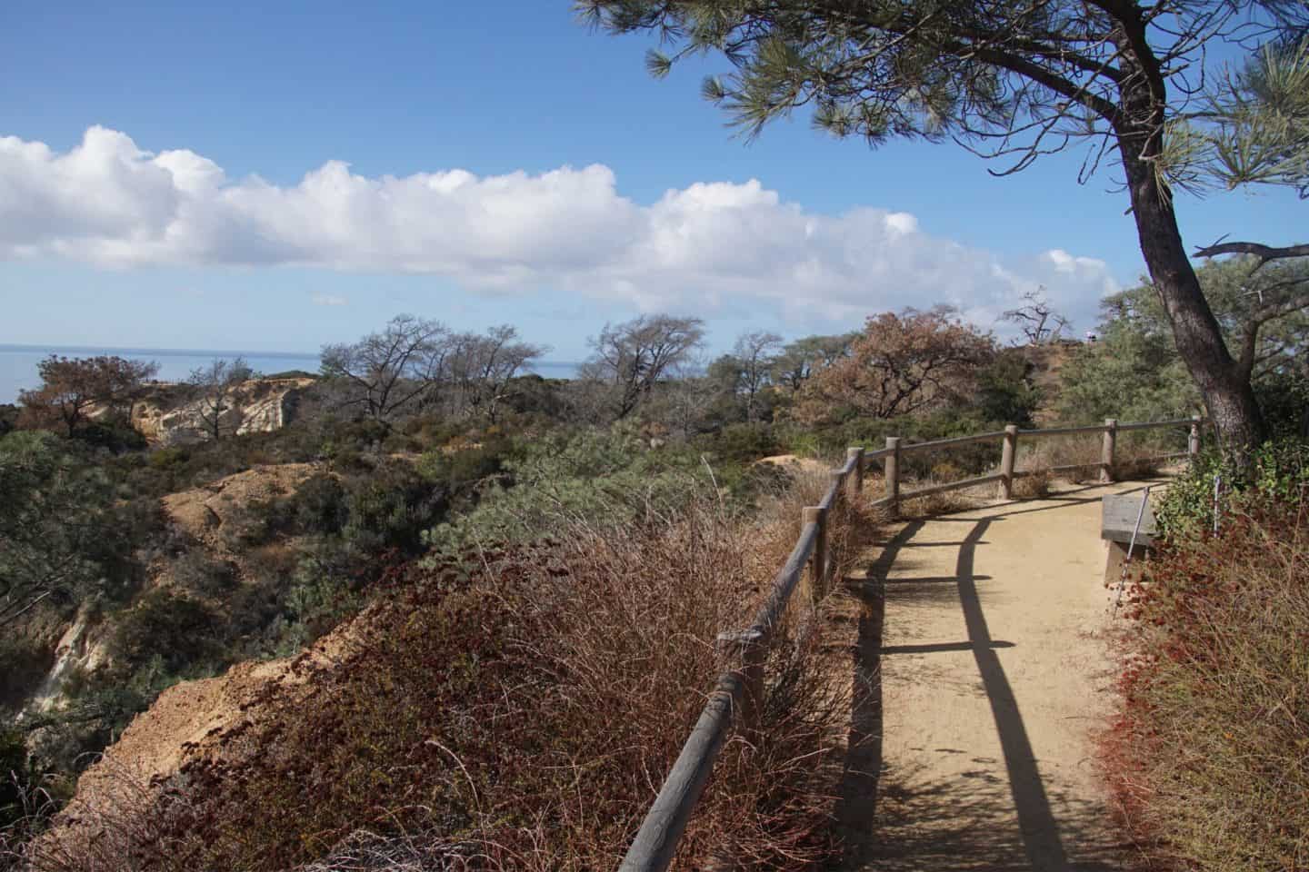 Explore the best Torrey Pines hikes in San Diego &mdash; from the Guy Fleming Trail to Beach Trail. Get tips, itinerary, and FAQs for hiking Torrey Pines State Reserve.