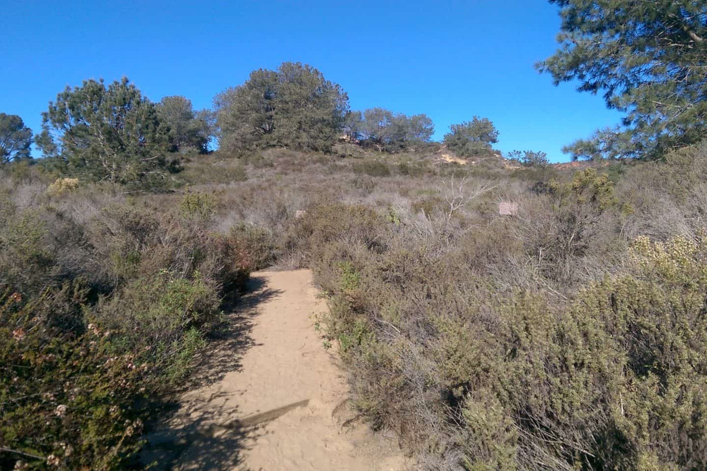 Explore the best Torrey Pines hikes in San Diego &mdash; from the Guy Fleming Trail to Beach Trail. Get tips, itinerary, and FAQs for hiking Torrey Pines State Reserve.