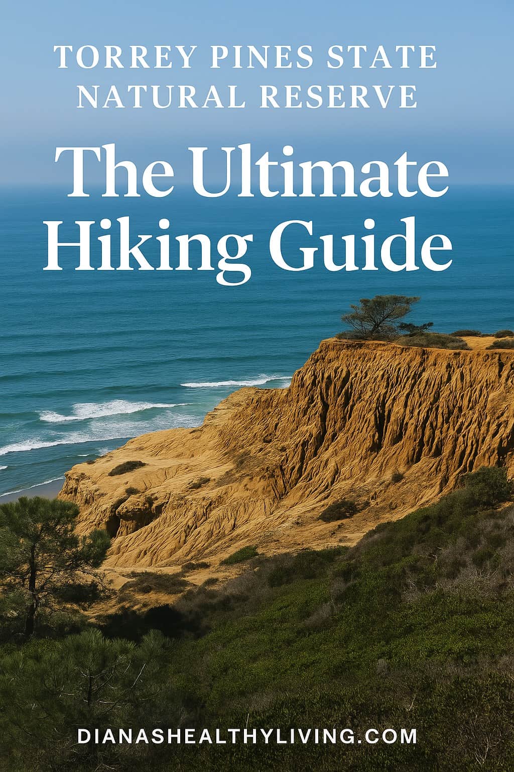 Explore the best Torrey Pines hikes in San Diego &mdash; from the Guy Fleming Trail to Beach Trail. Get tips, itinerary, and FAQs for hiking Torrey Pines State Reserve.