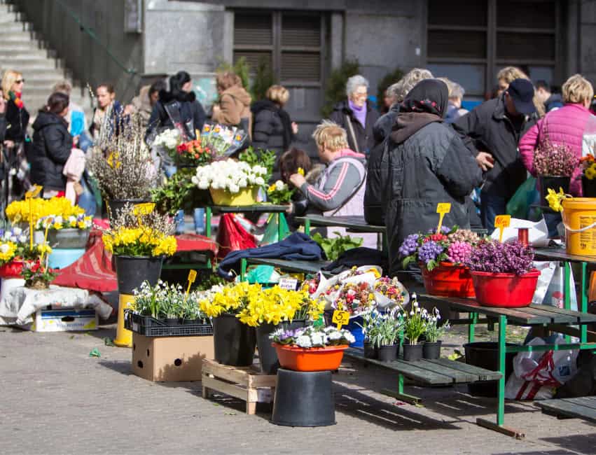 Fresh produce stalls and red umbrellas at Dolac Market in Zagreb with city rooftops in the background.
