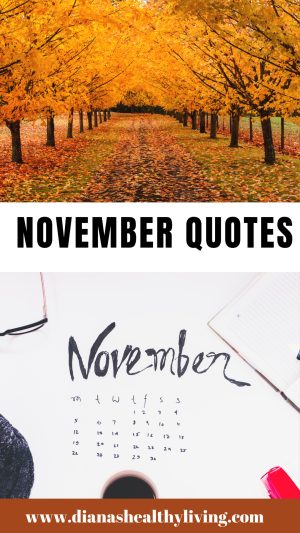 november quote
november quotes
quote about november
quotes about november
quotes for november
quotes on november
happy november quotes
november month quotes
november quote of the month
quotes for the month of november
november inspirational quotes
november quotes for inspiration
november sayings
quotes about november month
quotes on november month
november quotes and sayings
november motivational quotes
quoe
inspirational quotes for november
november love quotes
november 1st quotes
november phrases
beautiful november quotes