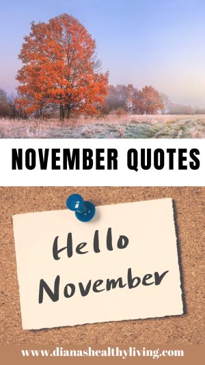 november quote
november quotes
quote about november
quotes about november
quotes for november
quotes on november
happy november quotes
november month quotes
november quote of the month
quotes for the month of november
november inspirational quotes
november quotes for inspiration
november sayings
quotes about november month
quotes on november month
november quotes and sayings
november motivational quotes
quoe
inspirational quotes for november
november love quotes
november 1st quotes
november phrases
beautiful november quotes
