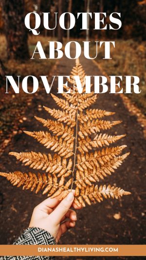 november quote
november quotes
quote about november
quotes about november
quotes for november
quotes on november
happy november quotes
november month quotes
november quote of the month
quotes for the month of november
november inspirational quotes
november quotes for inspiration
november sayings
quotes about november month
quotes on november month
november quotes and sayings
november motivational quotes
quoe
inspirational quotes for november
november love quotes
november 1st quotes
november phrases
beautiful november quotes