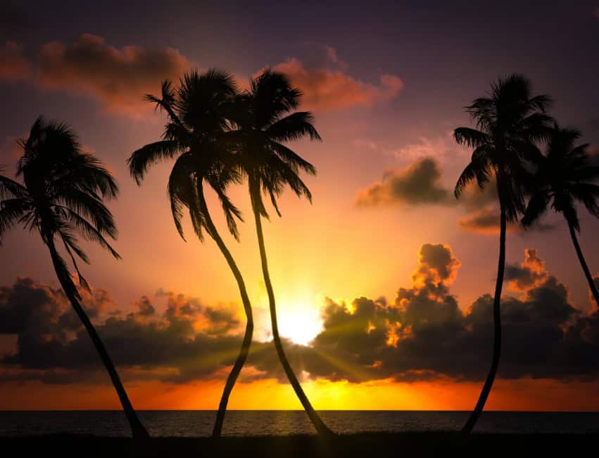 hotels in naples on the beach
hotels in naples on beach
naples hotel on the beach
beach hotels naples
naples hotels florida beach
naples fla.hotels
florida naples hotels
naples resorts on the beach
naples beaches hotels
naples hotels in florida
beach hotel in naples fl
beach hotel naples florida
beach hotels in naples fl
beach hotels in naples florida
beach hotels naples fl
beach hotels naples florida
beach resorts in naples
hotels beach naples florida
hotels by the beach in naples florida
hotels in naples fl on the beach
hotels in naples florida on beach
hotels in naples florida on the beach
hotels naples fl on the beach
hotels on beach in naples fl
hotels on beach in naples florida
hotels on beach naples fl
hotels on beach naples florida
hotels on naples beach florida
hotels on the beach in naples fl
hotels on the beach in naples florida
hotels on the beach naples fl
hotels on the beach naples florida
naples beach hotels florida
naples beach resorts
naples fl beach hotels
naples fl hotels on beach
naples fl hotels on the beach
naples florida beach hotels
naples florida hotels beach
naples florida hotels on beach
naples florida hotels on the beach
resorts in naples on the beach
naples fl. resorts
naples florida hotels beachfront
naples resorts on beach
hotels in naples beach
naples beach resorts fl
naples beach resorts florida
naples fl beach resorts
naples fl resorts on beach
naples fl resorts on the beach
naples florida resorts on the beach
beach hotels in naples
naples hotels on the beach
beach resorts naples
hotels naples beach florida
naples beach florida hotels
naples resorts florida
resorts in naples fl
hotels in naples on the beachfront
naples beach hotels
naples beachfront hotels
naples fl beachfront hotels
naples fl hotels beachfront
naples fl resorts
naples florida resorts
resorts in naples florida
resorts naples florida
naples hotels
beach resorts in naples fl
beach resorts in naples florida
beach resorts naples fl
beach resorts naples florida
beachfront hotels in naples florida
beachfront hotels naples fl
beachfront hotels naples florida
beachfront naples florida hotels
hotels in naples florida beachfront
naples florida beach resort
naples florida beach resorts
naples florida beachfront hotels
resorts in naples florida on the beach
hotels in naples florida
hotel naples beach
best hotels naples fl
naples florida best hotels
hotels naples beach fl
naples beach resort
naples florida hotels
resorts in naples
best hotels in naples florida
best hotels naples florida
best naples fl hotels
naples fl best hotels
best places to stay in naples florida
naples hotels on beach
places to stay in naples florida
beach resort in naples
beach resort naples
hotels in naples beach florida
hotels on naples beach fl
naples fl hotels
naples fl. hotels
beachfront hotels naples
where to stay in naples fl
where to stay in naples florida
hotels naples florida
naples resorts
beachfront hotels in naples fl
hotels naples florida beachfront
hotels in naples
best place to stay in naples florida
best place to stay naples florida
best places to stay in naples
naples beach hotel florida
beachfront naples hotels
best hotels in naples
best naples hotels
hotel naples
resort naples
resorts naples fl
naples best hotels
resorts naples
naples beachfront resorts
naples florida hotels near beach
naples resorts beachfront
best hotel in naples
places to stay naples florida
hotels in naples fl
hotels in naples. fl
beachfront resorts naples florida
naples beachfront
naples florida beachfront resorts
naples fl resort
naples florida oceanfront hotels
naples oceanfront hotels
beachfront hotels in naples
best hotels naples
hotel in naples fl
best beach hotels in naples
naples hotels by the beach
naples hotel
best resorts in naples fl
luxury hotel in naples florida
luxury hotel naples
hotel resorts naples florida
naples florida places to stay
naples florida resort hotels
hoteles en naples
hotels naples fl
hotel in naples
naples florida hotel
beachfront resorts in naples fl
hotels on naples beach
resort hotels in naples florida
resort hotels naples florida
waterfront hotels in naples florida
naples accommodations
best hotels in naples florida on the beach
hotels in naples florida near beach
hotels near naples florida beach
resorts near naples fl
resorts near naples florida
beach resort in naples fl
beach resort naples fl
best naples resorts
best resorts in naples
best resorts in naples florida
hotels naples
hotel naples florida
naples hotels florida
hotels on the beach in naples
naples beach hotels and resorts
naples florida resorts and hotels
naples hotel on beach
hotels near naples fl
hotels near naples florida
naples fl resorts beachfront
top hotels in naples florida
best naples hotels on the beach
where to stay in naples
hotels in naples florida near the beach
naples fl hotels near beach
naples resort hotels
naples hotels near beach
hoteles en naples fl
luxury hotel in naples
luxury hotels in naples florida
luxury hotels naples
luxury hotels naples florida
naples florida luxury hotels
best beach resorts naples florida
naples florida hotel resorts
naples florida lodging
top hotels in naples
naples florida top hotels
hotel naples fl
lodging naples florida
luxury hotels naples fl
naples luxury hotels
vanderbilt beach resort
beachfront hotels near naples fl
beachfront hotels near naples florida
naples florida resorts on beach
places to stay near naples florida
where to stay in naples florida on the beach
hotels in naples near the beach
luxury hotels in naples
naples fl hotel
naples fl luxury hotels
naples luxury hotel
naples playa
naples fl accommodations