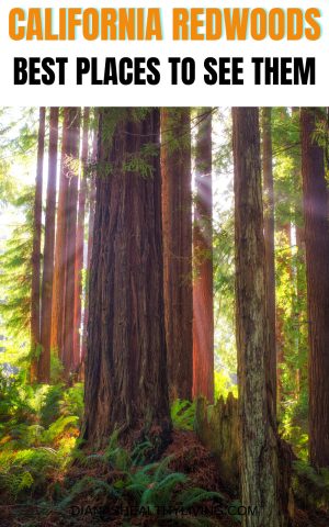 redwoods of california
california redwoods
redwood forests in california
redwoods in ca
redwood forests in ca
redwood forest
redwood forest in ca
californian redwoods
california redwoods forest
californian redwood forest
redwood forest of california
parks in california with redwoods
redwood parks in ca
redwood parks in california
redwoods parks
redwoods forest california
ca redwood forest
california forest redwood
california redwoods map
redwood state parks
redwoods in california map
redwoods of california map
map of redwood forest
map of the redwood forest
redwood forest on map
california redwood map
redwoods california map
redwood forest california
ca redwood parks
california redwood parks
redwood park
map redwood forest
redwood forest map
redwood park california
redwood state park
redwood map california
california redwood park
california redwoods park
california redwoods parks
redwood parks ca
redwoods ca
redwood forest california map
redwood forests california map
redwoods park
redwoods park california
northern california redwoods
redwoods in northern california
redwoods map
california redwoods state park
california redwood forest map
california redwood trees
ca redwoods map
redwoods state parks in california
california redwood
northern california redwood
california redwood national park
map of redwoods
northern california redwood forest
redwood forest ca
redwood forest in northern california
redwoods
redwood national park in ca
redwood california national park
redwood forests in northern california
redwoods northern california
redwood state park california
redwood map
where are the redwoods in california
redwood parks california
where are redwoods in california
redwood parks
redwood national park in california
redwoods northern ca
redwood forest northern ca
redwoods of northern california
where are the redwoods in ca
redwood national park california
map of redwood trees in california
redwood trees california map
northern california redwoods map
the redwoods california
redwoods in california
redwoods california coast
redwood ca map
redwood park map
california red forest
map of redwoods california
giant redwoods in california map
map of redwoods in california
redwood tree parks in california
redwood groves in california
best redwood parks in california
best redwoods in california
redwood trees locations
california coast redwoods
redwood trees in california
map of redwood forests in california
redwood forest location map
where do redwood trees grow map
best redwood park in california
redwood tree parks
redwood forest map california
redwood forest map of california
where are the redwoods located in california
best redwoods in ca
map of redwood parks in california
redwood forest near san francisco map
redwoods san francisco map
giant redwood forest california map
giant redwood trees california map
giant redwood trees map
map of the redwoods in california
map redwoods california
california coastal redwoods map
map redwoods
redwood forest california location
redwood park california map
map of redwood national forest
redwood national park california map
best redwood forest in california
redwood national forest map
california redwoods location
where is the redwood forest located in california
best redwood forest california
ca redwood national park
redwoods parks in california
map of redwood national park
redwood national parks in california
maps of redwood national park
ca redwood trees
redwoods near san francisco map
redwood groves in northern california
redwoods in california location