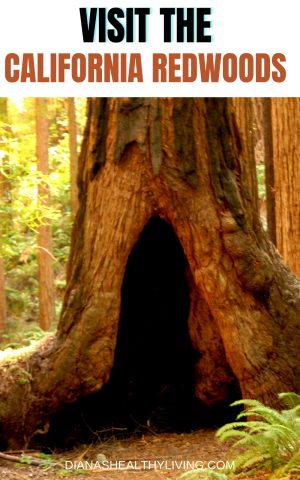redwoods of california
california redwoods
redwood forests in california
redwoods in ca
redwood forests in ca
redwood forest
redwood forest in ca
californian redwoods
california redwoods forest
californian redwood forest
redwood forest of california
parks in california with redwoods
redwood parks in ca
redwood parks in california
redwoods parks
redwoods forest california
ca redwood forest
california forest redwood
california redwoods map
redwood state parks
redwoods in california map
redwoods of california map
map of redwood forest
map of the redwood forest
redwood forest on map
california redwood map
redwoods california map
redwood forest california
ca redwood parks
california redwood parks
redwood park
map redwood forest
redwood forest map
redwood park california
redwood state park
redwood map california
california redwood park
california redwoods park
california redwoods parks
redwood parks ca
redwoods ca
redwood forest california map
redwood forests california map
redwoods park
redwoods park california
northern california redwoods
redwoods in northern california
redwoods map
california redwoods state park
california redwood forest map
california redwood trees
ca redwoods map
redwoods state parks in california
california redwood
northern california redwood
california redwood national park
map of redwoods
northern california redwood forest
redwood forest ca
redwood forest in northern california
redwoods
redwood national park in ca
redwood california national park
redwood forests in northern california
redwoods northern california
redwood state park california
redwood map
where are the redwoods in california
redwood parks california
where are redwoods in california
redwood parks
redwood national park in california
redwoods northern ca
redwood forest northern ca
redwoods of northern california
where are the redwoods in ca
redwood national park california
map of redwood trees in california
redwood trees california map
northern california redwoods map
the redwoods california
redwoods in california
redwoods california coast
redwood ca map
redwood park map
california red forest
map of redwoods california
giant redwoods in california map
map of redwoods in california
redwood tree parks in california
redwood groves in california
best redwood parks in california
best redwoods in california
redwood trees locations
california coast redwoods
redwood trees in california
map of redwood forests in california
redwood forest location map
where do redwood trees grow map
best redwood park in california
redwood tree parks
redwood forest map california
redwood forest map of california
where are the redwoods located in california
best redwoods in ca
map of redwood parks in california
redwood forest near san francisco map
redwoods san francisco map
giant redwood forest california map
giant redwood trees california map
giant redwood trees map
map of the redwoods in california
map redwoods california
california coastal redwoods map
map redwoods
redwood forest california location
redwood park california map
map of redwood national forest
redwood national park california map
best redwood forest in california
redwood national forest map
california redwoods location
where is the redwood forest located in california
best redwood forest california
ca redwood national park
redwoods parks in california
map of redwood national park
redwood national parks in california
maps of redwood national park
ca redwood trees
redwoods near san francisco map
redwood groves in northern california
redwoods in california location
