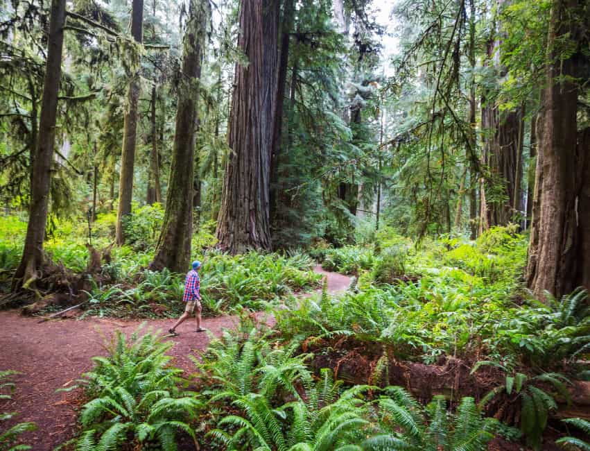 redwoods of california
california redwoods
redwood forests in california
redwoods in ca
redwood forests in ca
redwood forest
redwood forest in ca
californian redwoods
california redwoods forest
californian redwood forest
redwood forest of california
parks in california with redwoods
redwood parks in ca
redwood parks in california
redwoods parks
redwoods forest california
ca redwood forest
california forest redwood
california redwoods map
redwood state parks
redwoods in california map
redwoods of california map
map of redwood forest
map of the redwood forest
redwood forest on map
california redwood map
redwoods california map
redwood forest california
ca redwood parks
california redwood parks
redwood park
map redwood forest
redwood forest map
redwood park california
redwood state park
redwood map california
california redwood park
california redwoods park
california redwoods parks
redwood parks ca
redwoods ca
redwood forest california map
redwood forests california map
redwoods park
redwoods park california
northern california redwoods
redwoods in northern california
redwoods map
california redwoods state park
california redwood forest map
california redwood trees
ca redwoods map
redwoods state parks in california
california redwood
northern california redwood
california redwood national park
map of redwoods
northern california redwood forest
redwood forest ca
redwood forest in northern california
redwoods
redwood national park in ca
redwood california national park
redwood forests in northern california
redwoods northern california
redwood state park california
redwood map
where are the redwoods in california
redwood parks california
where are redwoods in california
redwood parks
redwood national park in california
redwoods northern ca
redwood forest northern ca
redwoods of northern california
where are the redwoods in ca
redwood national park california
map of redwood trees in california
redwood trees california map
northern california redwoods map
the redwoods california
redwoods in california
redwoods california coast
redwood ca map
redwood park map
california red forest
map of redwoods california
giant redwoods in california map
map of redwoods in california
redwood tree parks in california
redwood groves in california
best redwood parks in california
best redwoods in california
redwood trees locations
california coast redwoods
redwood trees in california
map of redwood forests in california
redwood forest location map
where do redwood trees grow map
best redwood park in california
redwood tree parks
redwood forest map california
redwood forest map of california
where are the redwoods located in california
best redwoods in ca
map of redwood parks in california
redwood forest near san francisco map
redwoods san francisco map
giant redwood forest california map
giant redwood trees california map
giant redwood trees map
map of the redwoods in california
map redwoods california
california coastal redwoods map
map redwoods
redwood forest california location
redwood park california map
map of redwood national forest
redwood national park california map
best redwood forest in california
redwood national forest map
california redwoods location
where is the redwood forest located in california
best redwood forest california
ca redwood national park
redwoods parks in california
map of redwood national park
redwood national parks in california
maps of redwood national park
ca redwood trees
redwoods near san francisco map
redwood groves in northern california
redwoods in california location