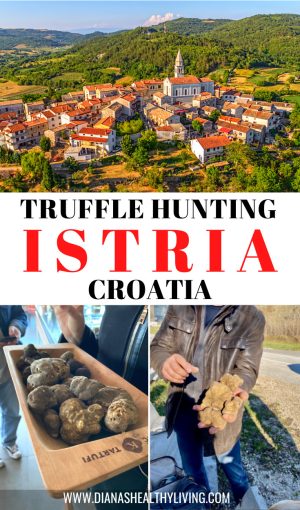 truffle hunting
truffle hunting croatia
croatian truffles
truffle hunting istria
truffle hunting in istria croatia
truffle hunting istria croatia
truffles
truffle
trufas
truffle mushroom
what is a truffle
tryffel
mushroom truffle
what are truffles
black truffle
are truffles mushrooms
is a truffle a mushroom
is truffle a mushroom
truffle a mushroom
truffle meaning
what is truffle
truffe
fungi truffles
truffle food
truffle fungus
truffles fungi
what is a black truffle
what is black truffle
truffle hunting
mushrooms truffle
truffle mushrooms
truffles mushroom
wild truffles
black truffles
food truffle
hunting truffles
black truffle mushroom
whats a truffle
european white truffle
how are truffles found
what's a truffle
truffle wiki
truffle definition
truffle types
ground truffles
meaning of truffle
white truffle mushroom
edible truffles
truffled
french truffle
italian truffle
define truffle
the truffle
truffle plant
types of truffles
european white truffles
what are truffles made of
where do truffles grow
english truffles
where are truffles found
truffle trees
how are truffles grown
french truffles
australian truffle
where do truffles come from
history of truffles
chocolate truffle wiki
how truffles are found
mushroom truffles
truffle cultivation
what do truffles look like
how do truffles grow
truffle farming
how are truffles made
how truffles are made
cultivated truffles
real truffles
are truffles a mushroom
what are truffles used for
black truffle wiki
american truffles
how do you find truffles
are truffles french
what exactly is a truffle
il tartufo wikipedia
black and white truffles
black diamond truffle
where do you find truffles
truffle images
winter truffles
black truffle cultivation