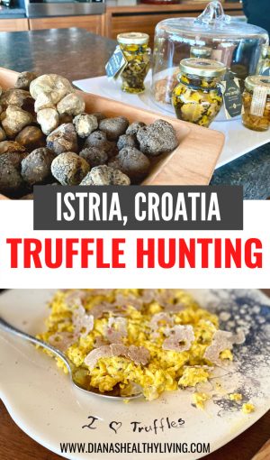truffle hunting
truffle hunting croatia
truffle hunting istria
croatian truffles
truffle hunting in istria croatia
truffle hunting istria croatia
truffles
truffle
trufas
truffle mushroom
what is a truffle
tryffel
mushroom truffle
what are truffles
black truffle
are truffles mushrooms
is a truffle a mushroom
is truffle a mushroom
truffle a mushroom
truffle meaning
what is truffle
truffe
fungi truffles
truffle food
truffle fungus
truffles fungi
what is a black truffle
what is black truffle
truffle hunting
mushrooms truffle
truffle mushrooms
truffles mushroom
wild truffles
black truffles
food truffle
hunting truffles
black truffle mushroom
whats a truffle
european white truffle
how are truffles found
what's a truffle
truffle wiki
truffle definition
truffle types
ground truffles
meaning of truffle
white truffle mushroom
edible truffles
truffled
french truffle
italian truffle
define truffle
the truffle
truffle plant
types of truffles
european white truffles
what are truffles made of
where do truffles grow
english truffles
where are truffles found
truffle trees
how are truffles grown
french truffles
australian truffle
where do truffles come from
history of truffles
chocolate truffle wiki
how truffles are found
mushroom truffles
truffle cultivation
what do truffles look like
how do truffles grow
truffle farming
how are truffles made
how truffles are made
cultivated truffles
real truffles
are truffles a mushroom
what are truffles used for
black truffle wiki
american truffles
how do you find truffles
are truffles french
what exactly is a truffle
il tartufo wikipedia
black and white truffles
black diamond truffle
where do you find truffles
truffle images
winter truffles
black truffle cultivation