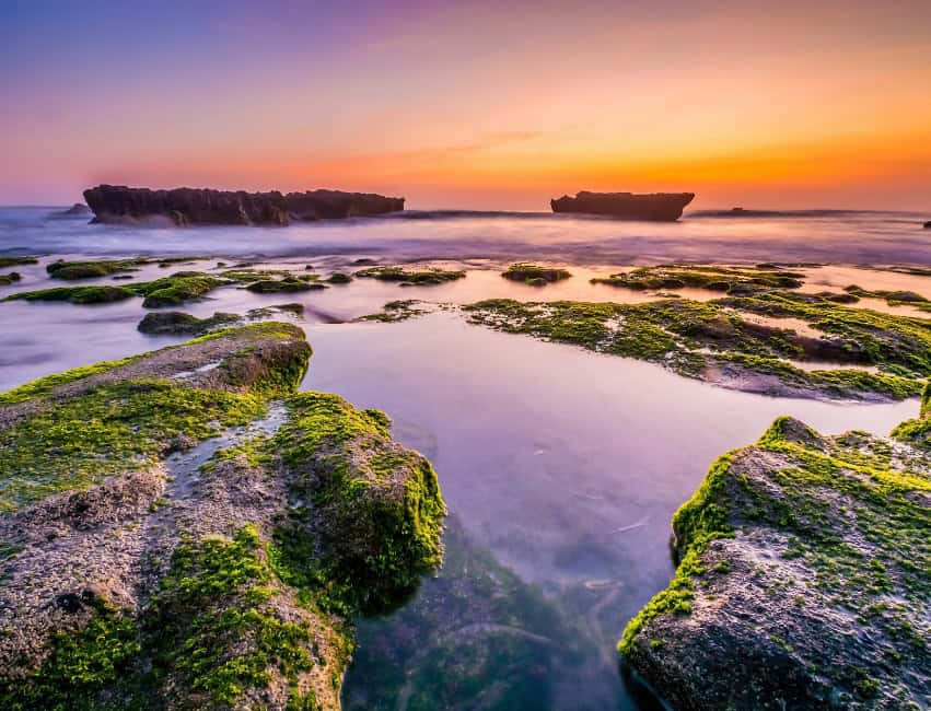 three days in canggu bali itinerary
canggu bali
canggu bali
canggu
bali canggu
canggu bali beach
canggu beach
canggu indonesia