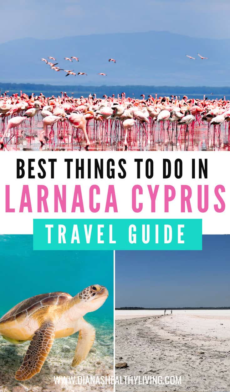 Flamingos in Jarnaca Cyprus lagoon, travel destination, bird watching, nature, scenic landscape.