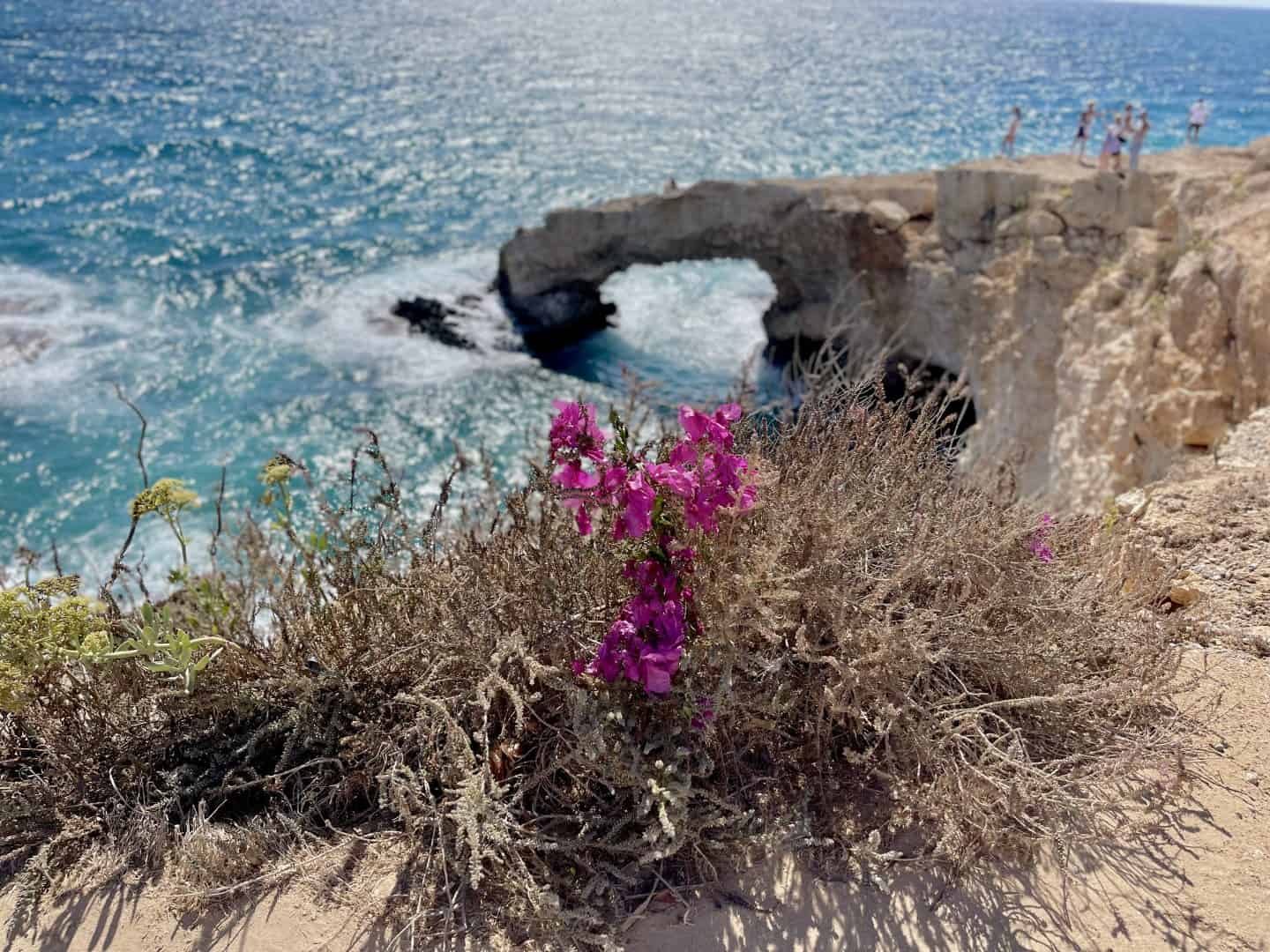 Discover 101+ fascinating facts about Cyprus &mdash; from history and culture to food, beaches, and travel tips. The ultimate Cyprus guide for curious travelers.