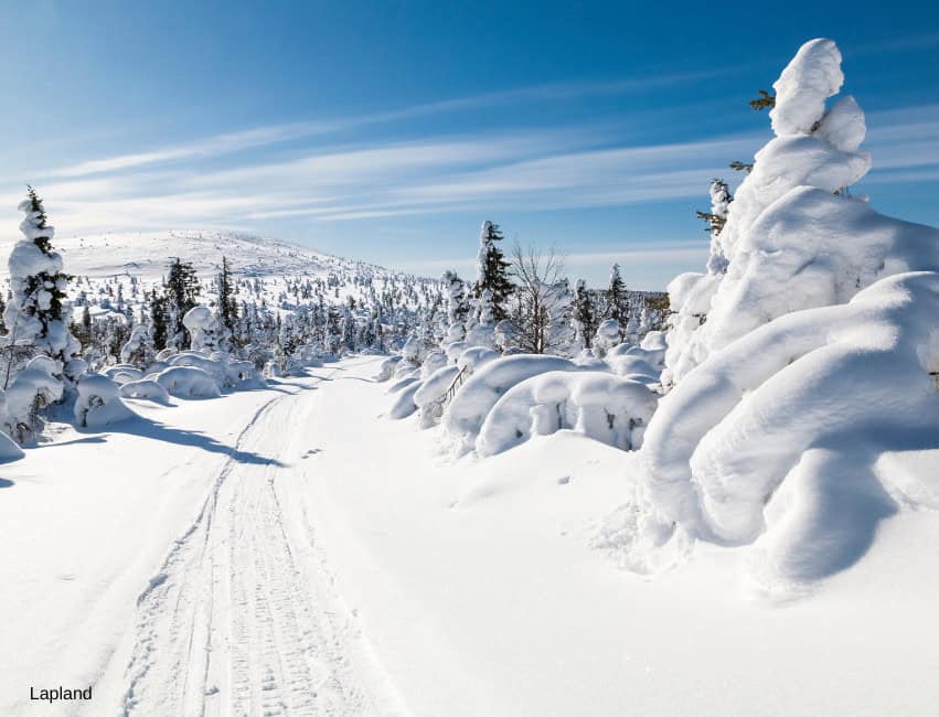 Fresh winter snow-covered landscape in Lapland with ski tracks and clear blue sky.
