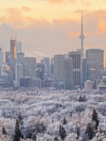 Discover the best things to do in Toronto in winter — skating, markets, food, and snowy day trips. Your complete Toronto winter guide.