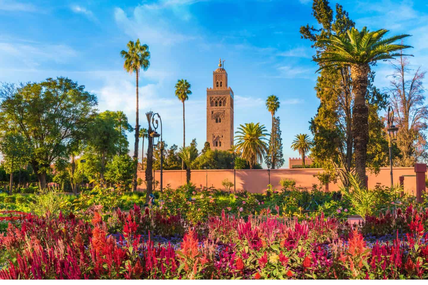 Koutoubia Mosque with palm trees, Marrakech Morocco
things to do in marrakech morocco