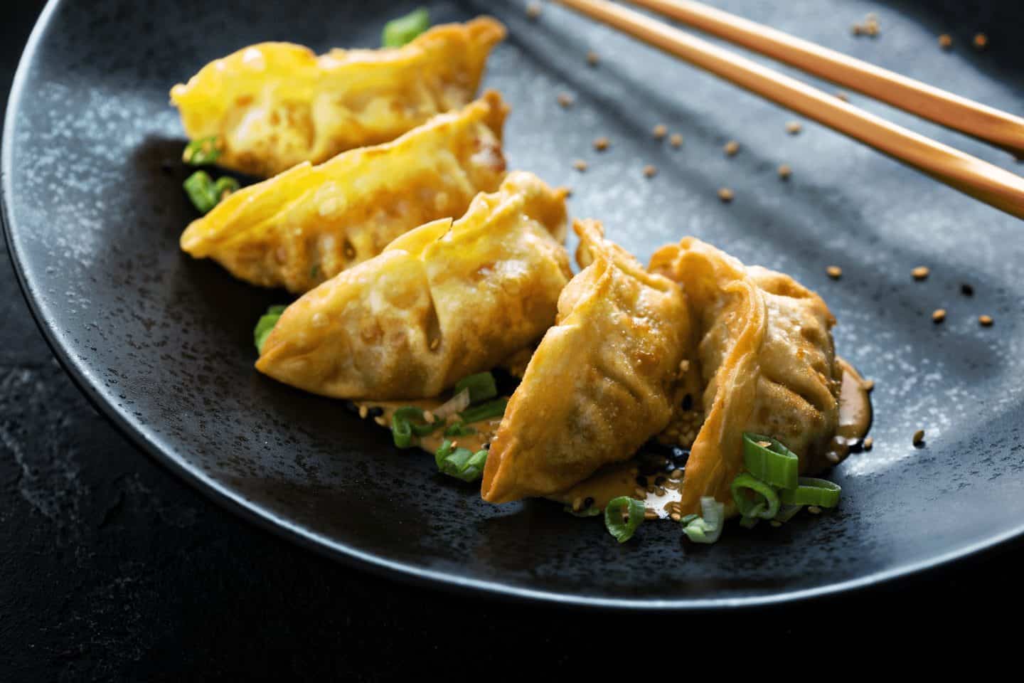 asian dumplings zagreb restaurants