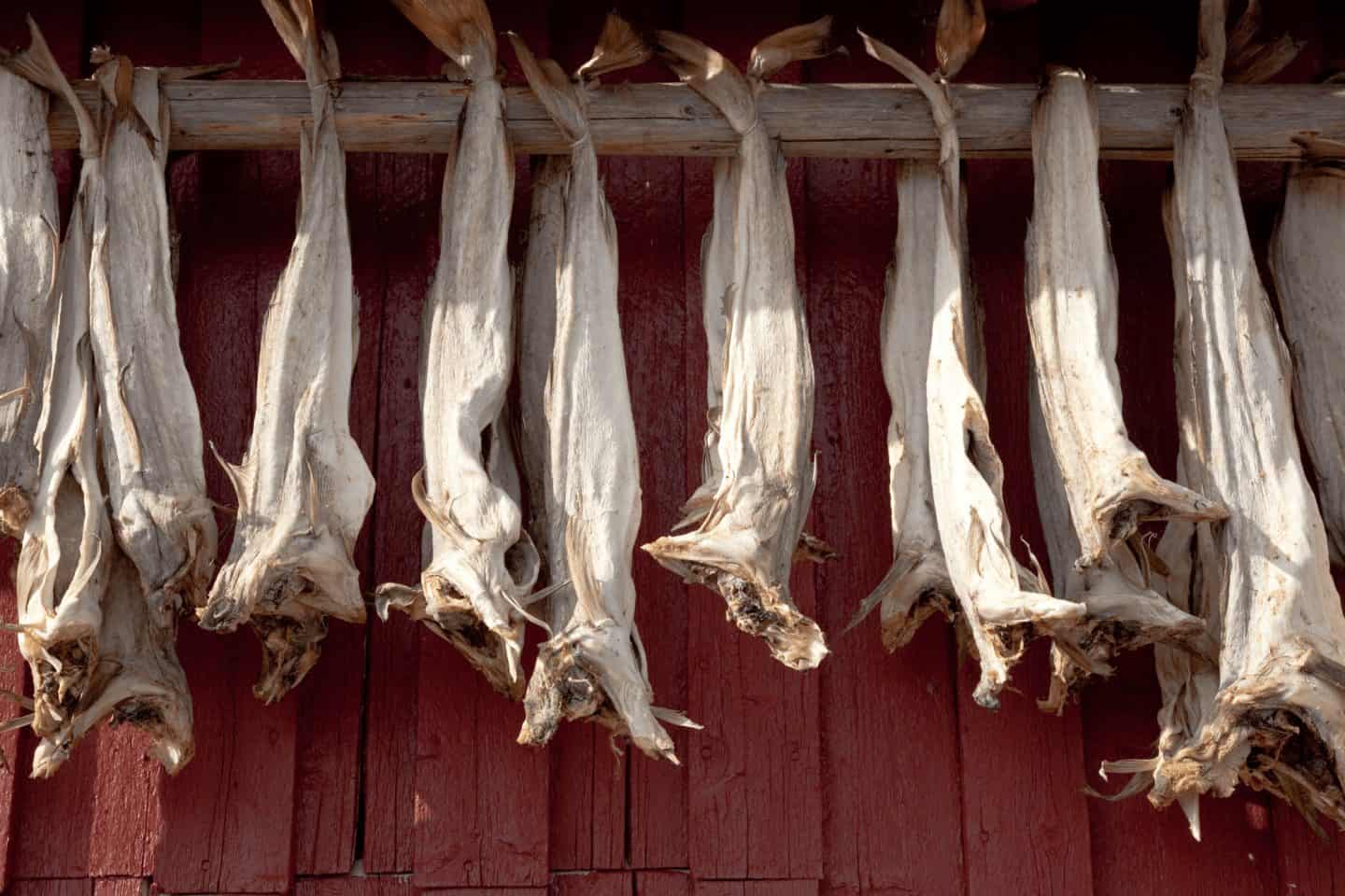 Discover the story of Bakalar, Croatia&rsquo;s cherished salted cod dish. Explore its history, family traditions, and delicious Mediterranean variations from Italy to Portugal.