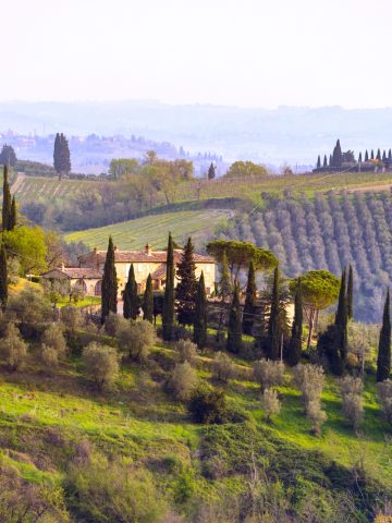 florence to chianti day trips from florence italy