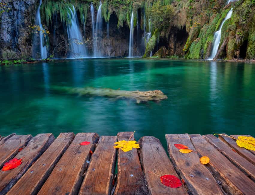 Wooded hiking path through forest at Plitvice National Park Croatia