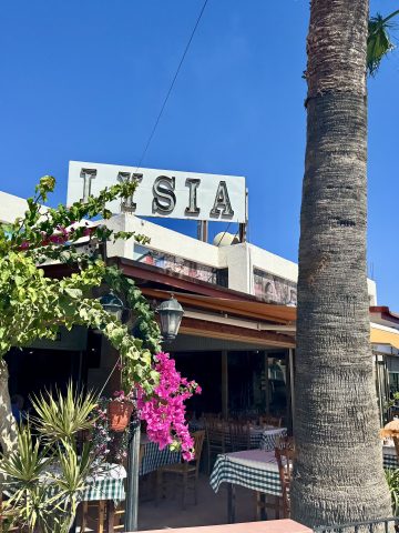 Exterior of Lysia Meat Tavern in Larnaca, Cyprus, with palm trees, pink bougainvillea, and outdoor seating under checkered tablecloths.