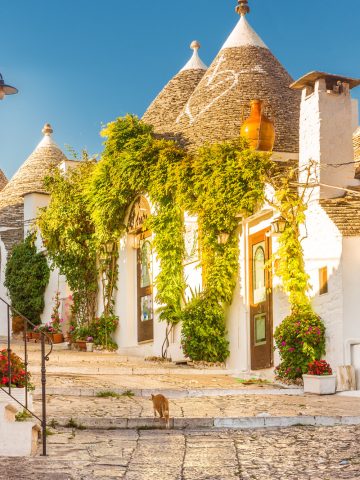 Puglia Italy — whitewashed towns, turquoise beaches, and olive groves in one of the most beautiful areas to visit in Italy.