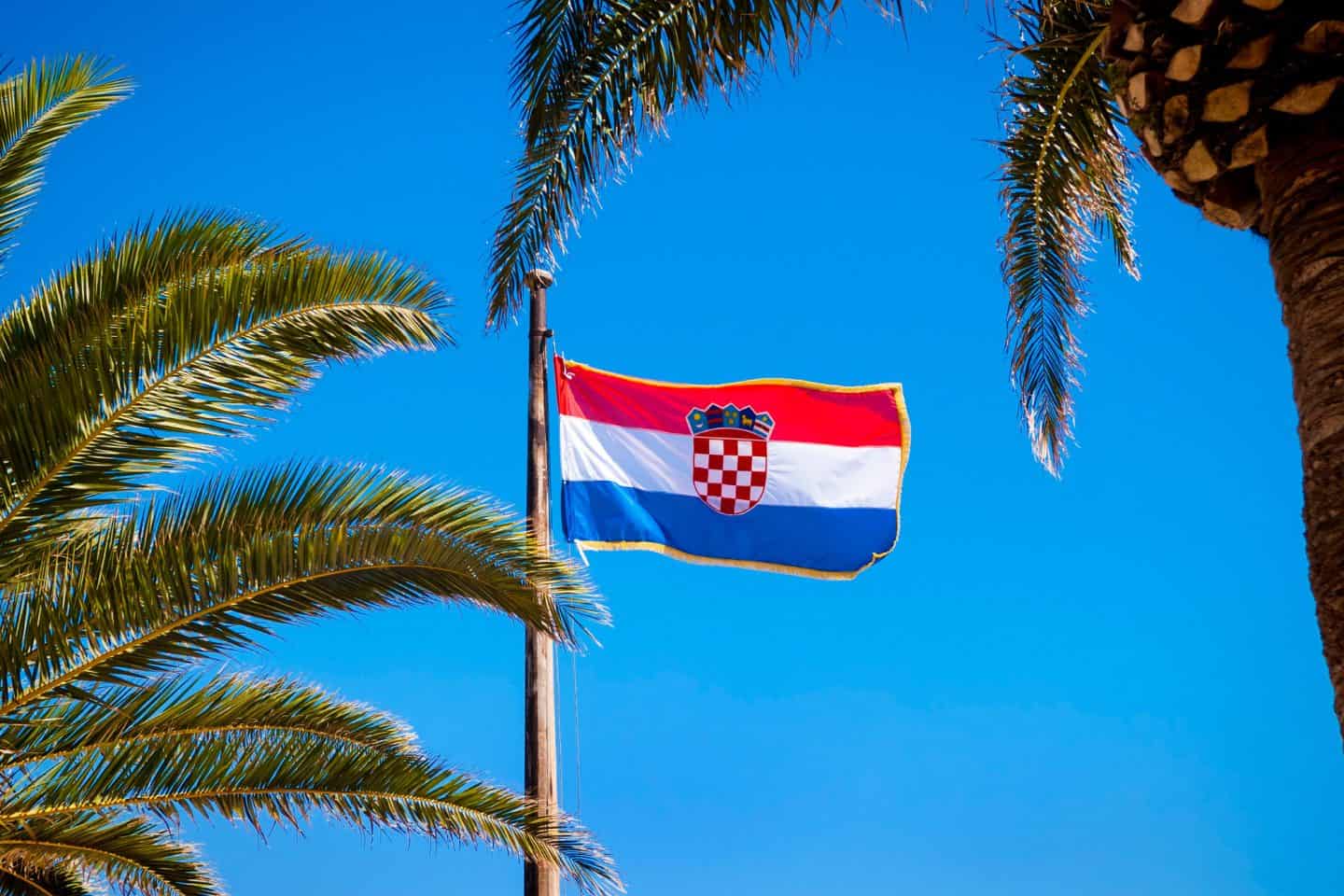 Croatian flag flying over palm trees on Statehood Day, May 30, Dan državnosti.