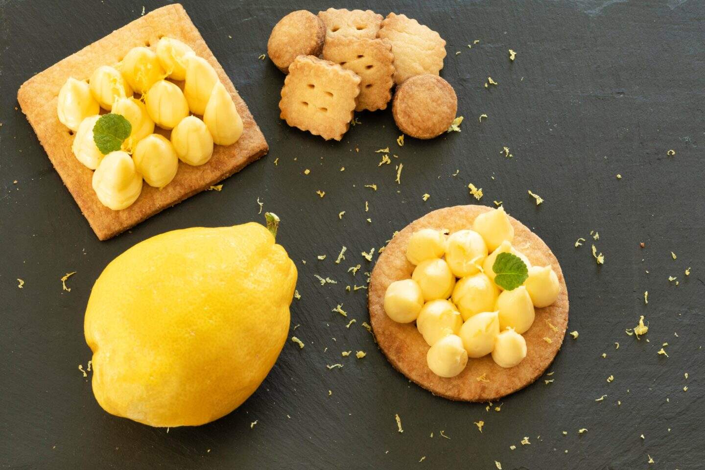 Discover the best things to do in Menton, France &mdash; from exploring the old town and lemon gardens to relaxing on Riviera beaches. Includes top attractions, day trips, festivals, where to eat, and where to stay for your perfect Menton getaway.
