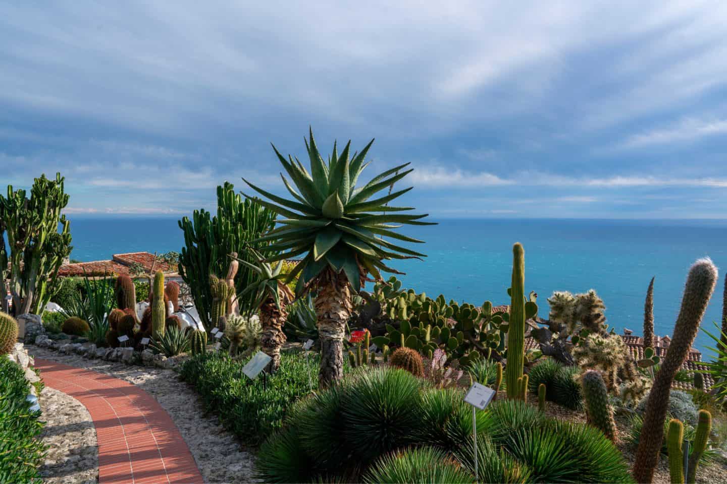 Discover the best things to do in &Egrave;ze Village, France &mdash; from the Jardin Exotique and Nietzsche Path to luxury dining and seaside relaxation. Plan your perfect day trip from Nice or Monaco with our complete guide to &Egrave;ze, the fairytale hilltop village of the French Riviera.