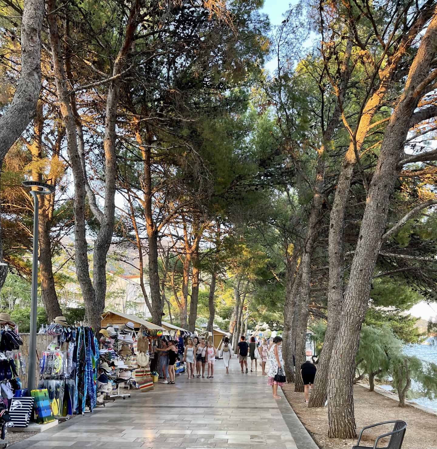 Scenic Bol Promenade on BRAC island featuring palm trees, a stone walkway, and the crystal-clear Adriatic Sea along the waterfront.