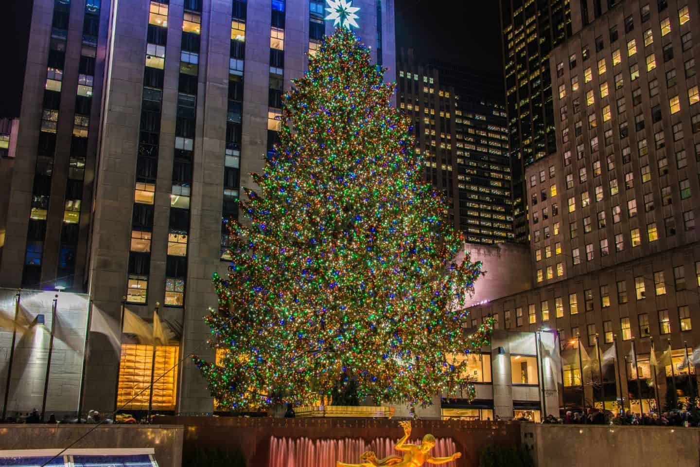 Discover the magic of Christmas in New York City &mdash; from Rockefeller Center&rsquo;s tree lighting to the Bryant Park Winter Village and festive Fifth Avenue lights. Your complete NYC Christmas itinerary and must-see holiday attractions!
ny city christmas
ny in christmas
christmas new york
nyc christmastime
new york city christmas
christmas in nyc
new york christmas time
nyc christmas time
christmas in new york
new york in christmas
christmas time in new york
new york city christmas time
christmas in new york itinerary
new york christmas itinerary