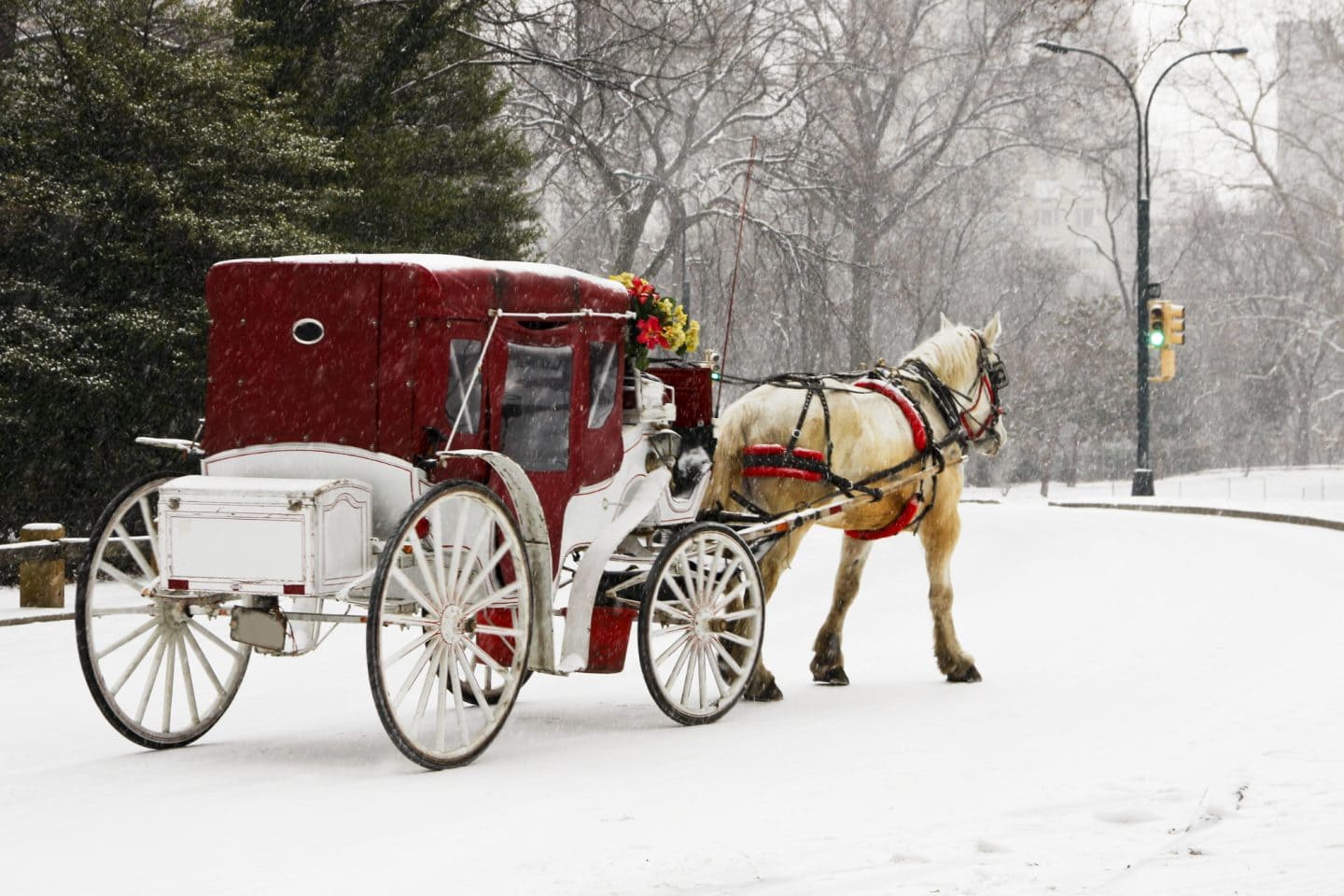 Discover the magic of Christmas in New York City &mdash; from Rockefeller Center&rsquo;s tree lighting to the Bryant Park Winter Village and festive Fifth Avenue lights. Your complete NYC Christmas itinerary and must-see holiday attractions!
ny city christmas
ny in christmas
christmas new york
nyc christmastime
new york city christmas
christmas in nyc
new york christmas time
nyc christmas time
christmas in new york
new york in christmas
christmas time in new york
new york city christmas time
christmas in new york itinerary
new york christmas itinerary