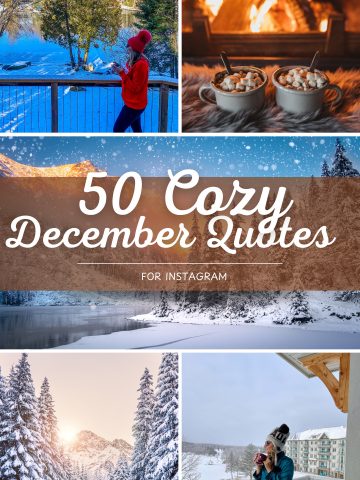 Spread festive cheer with happy December quotes full of positivity, laughter, and love. Perfect for sharing holiday joy with friends and followers. quote december december quote quotes about december quote of the month december happy december quotes inspirational quotes for december december quotes and sayings love december quotes quotes december december holiday quotes december 1st quotes quote about december quotations december quotations on december december love quotes december quotes images first day of december quotes i love december quotes best quotes for december new month december quotes first of december quotes quotes for december 1