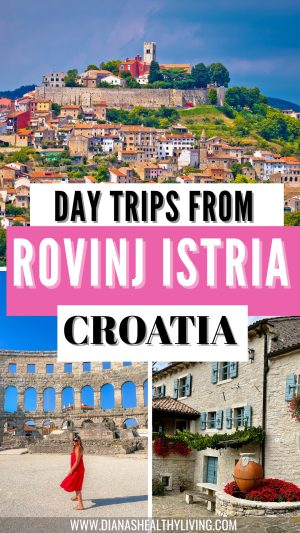 Discover the best day trips from Rovinj, including Motovun, Grožnjan, Pula, Lim Bay, and the Brijuni Islands. Perfect for anyone exploring the Istrian peninsula and looking for unforgettable scenery, history, and food experiences.