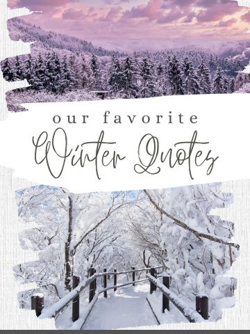 Snow is nature’s poetry. These winter beauty quotes and sayings about snow celebrate the calm, white wonder of the season — the sparkle of frost, the silence of mornings, and the art of stillness.