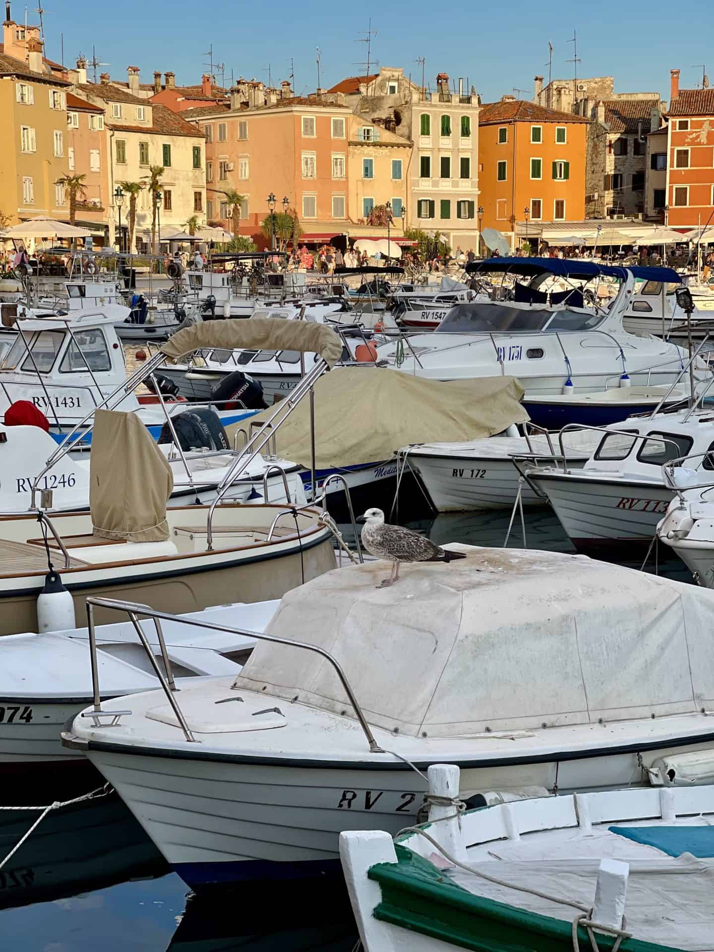 Rovinj harbour with fishing boats and colorful waterfront houses