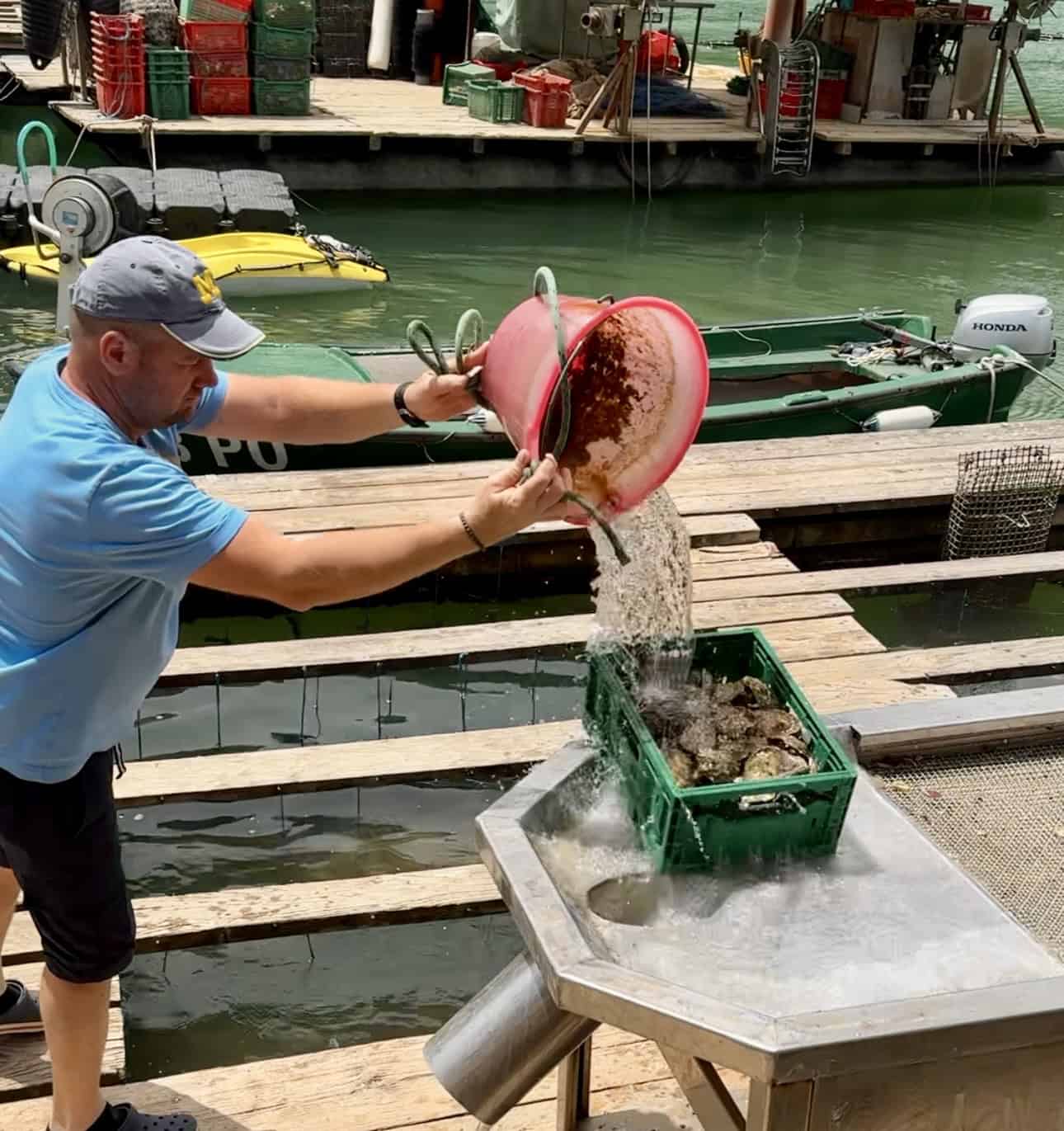 Oyster farm in Lim Bay Rovinj Croatia