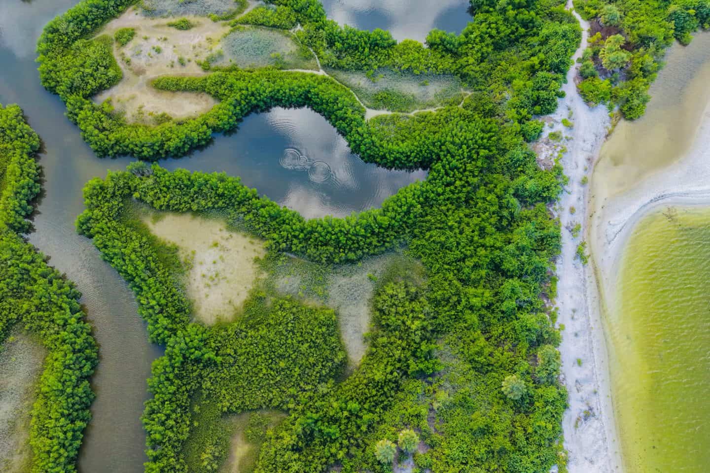 Planning a trip to Marco Island in Florida? Discover the ultimate guide to Marco Island attractions, beaches, and activities. Learn what to do in Marco Island, the best restaurants, romantic things to do, and where to stay for a perfect island vacation.